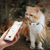 4G Gps Tracker admite posición en tiempo real para mascotas